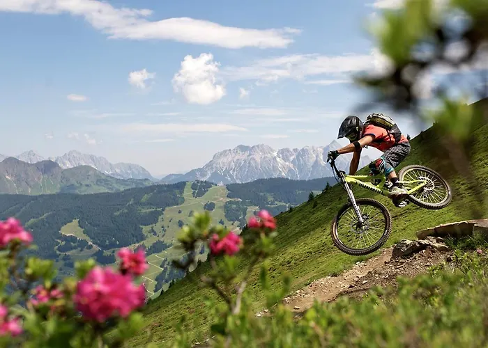 Апартаменты Alpin &